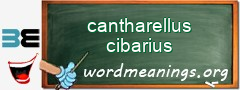 WordMeaning blackboard for cantharellus cibarius